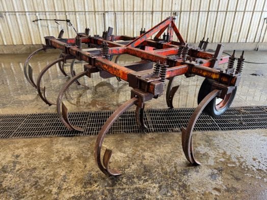 International 11T chisel plow
