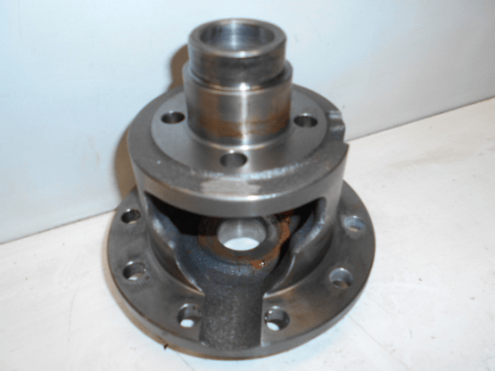 DIFFERENTIAL CASE