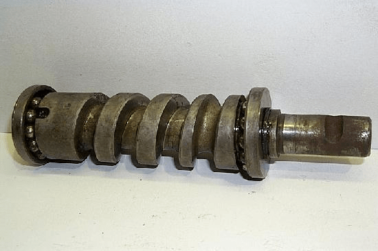 STEERING WORM