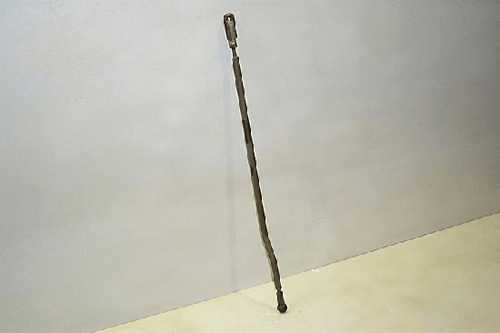 SELECTIVE CONTROL ROD - 1ST