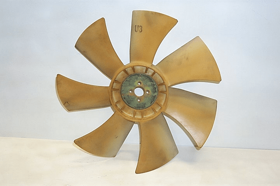FAN
