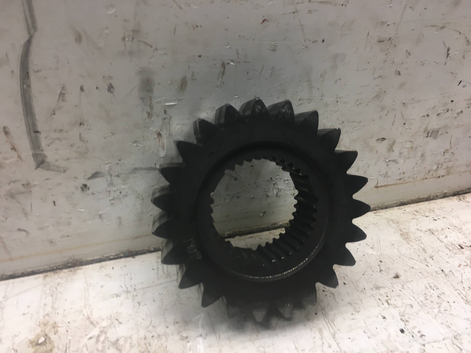 OIL PUMP GEAR