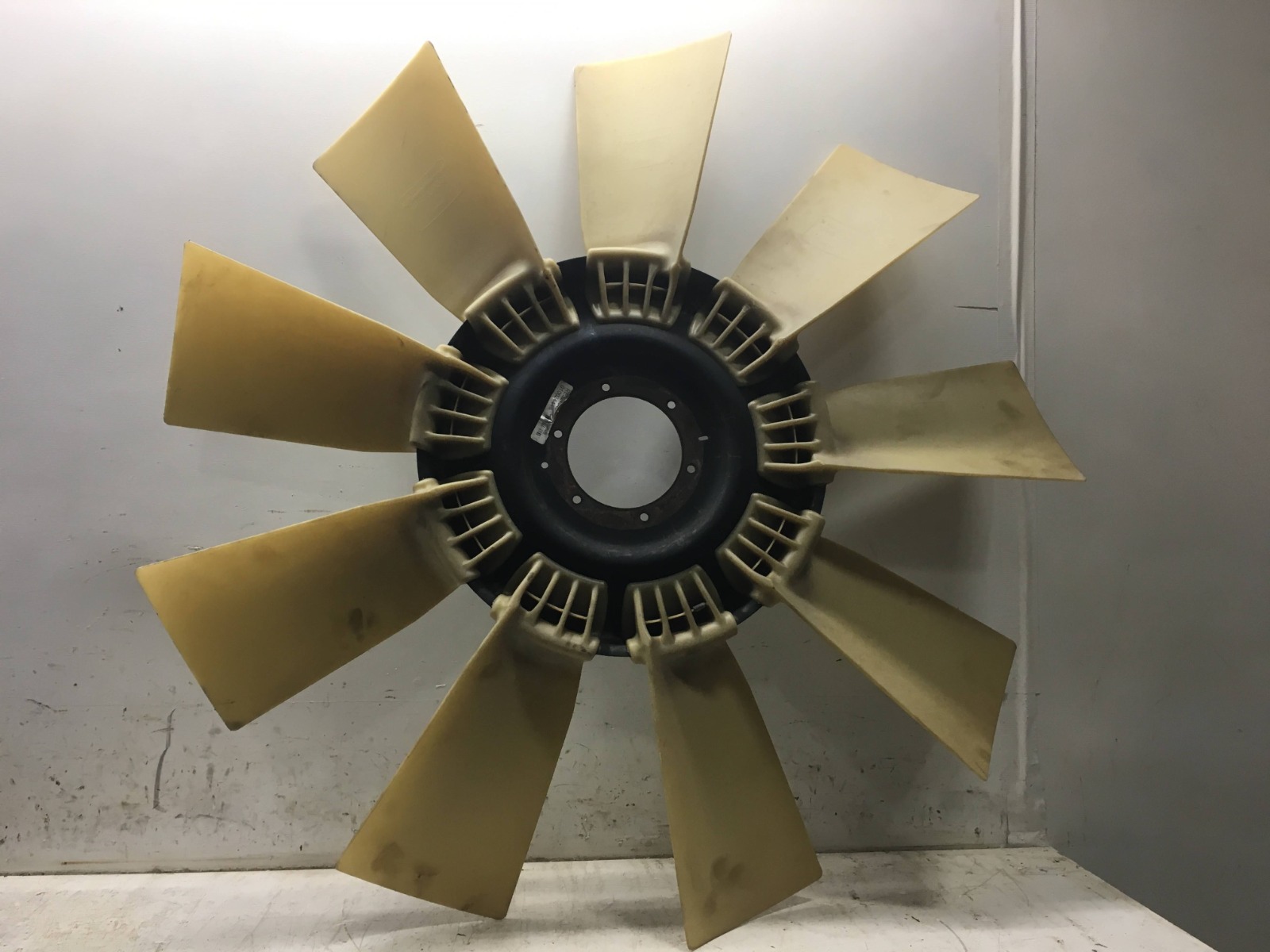 FAN