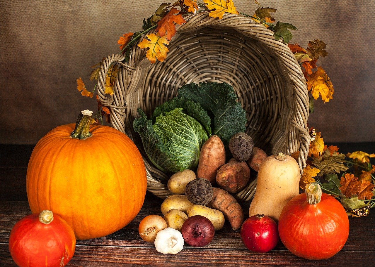 The Importance of Agriculture on Thanksgiving