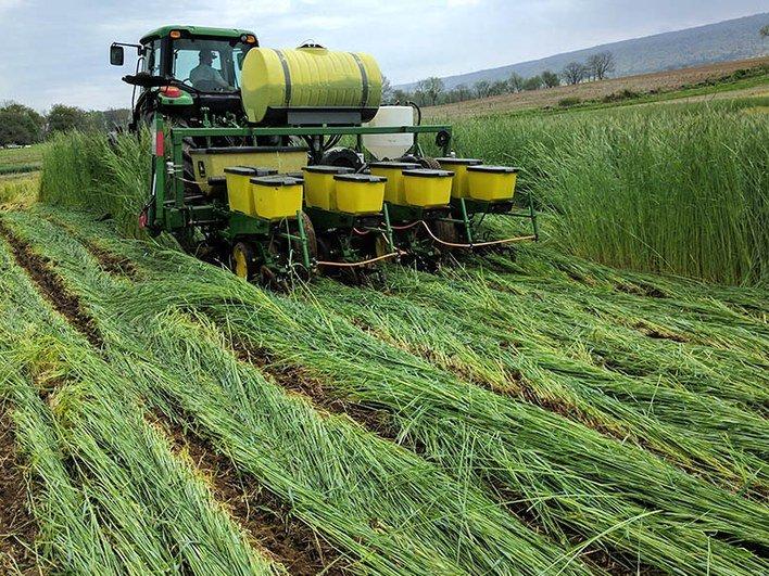 Planting over top of cover crops