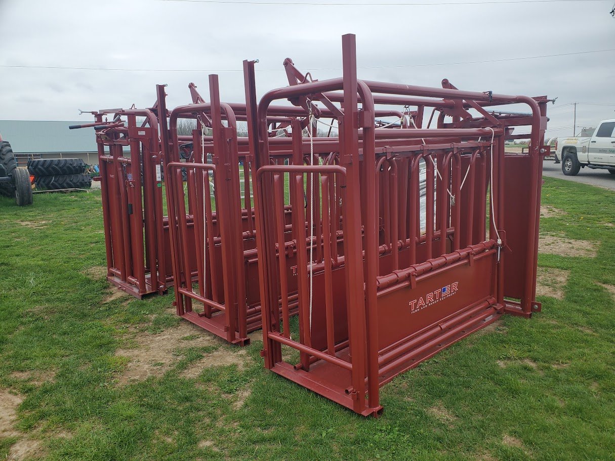 Cattle Handling